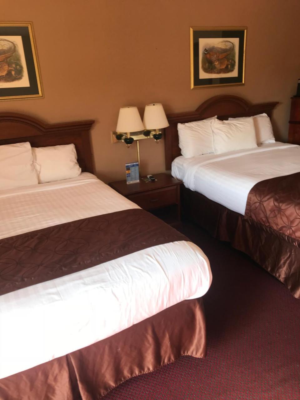 Shamrock Motel Hot Springs Zewnętrze zdjęcie