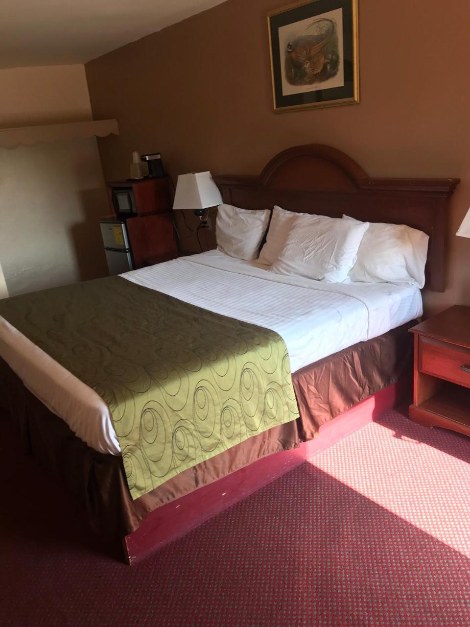 Shamrock Motel Hot Springs Zewnętrze zdjęcie
